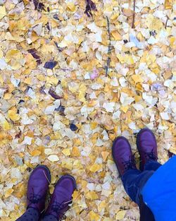 Low section of person standing on maple leaves