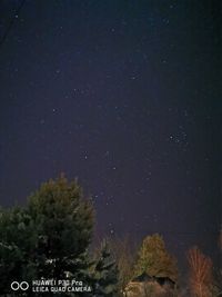 Low angle view of trees against sky at night