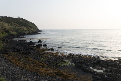 Scenic view of sea against clear sky