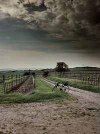 Scenic view of field against cloudy sky