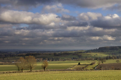 Scenic view of rural landscape