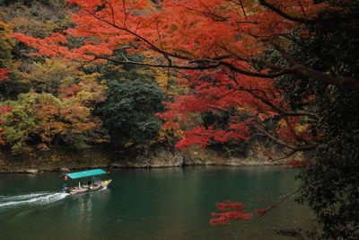 Scenic view of lake by trees during autumn