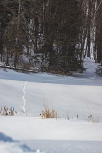 Scenic view of snow covered field