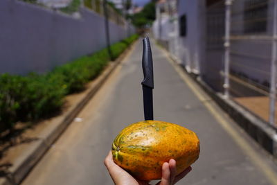 Close-up of hand holding fruit