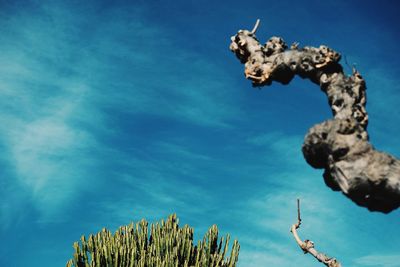 Low angle view of statue against blue sky