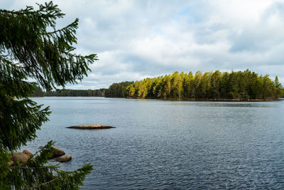 Scenic view of lake in forest against sky