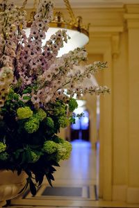 Close-up of flowers hanging on wall