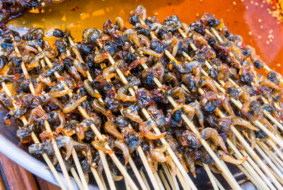 High angle view of bees