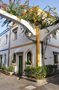 Tree by building against sky