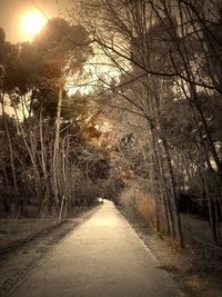 Empty road passing through bare trees