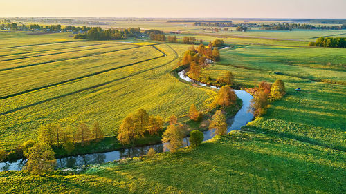 Scenic view of agricultural field