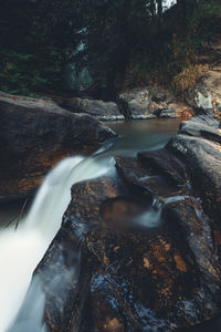 Scenic view of river stream in forest