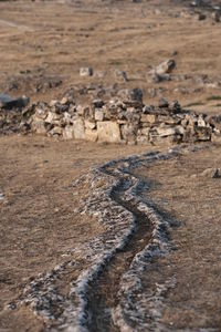 View of sheep on a land