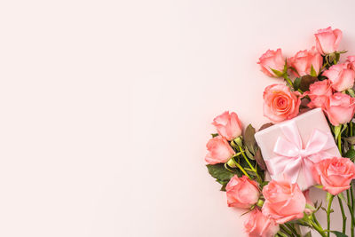 Close-up of pink roses against white background