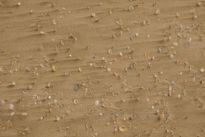 Full frame shot of sand