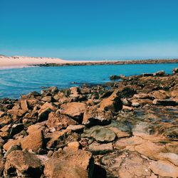 Scenic view of sea against clear blue sky
