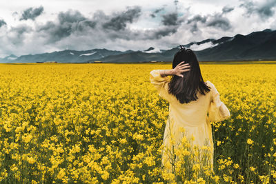 Rear view of woman standing in yellow flower field