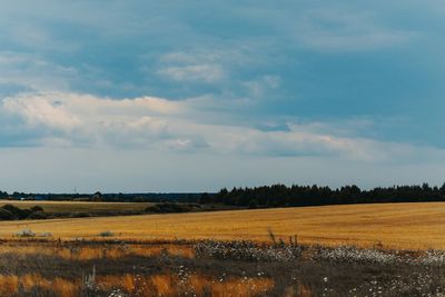 Clouds over the field