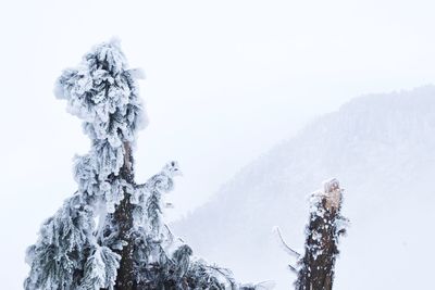 Scenic view of snowcapped mountains against clear sky