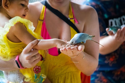 Toddler girl sits in her mother's arms and feeds the parrots from her hands. close-up