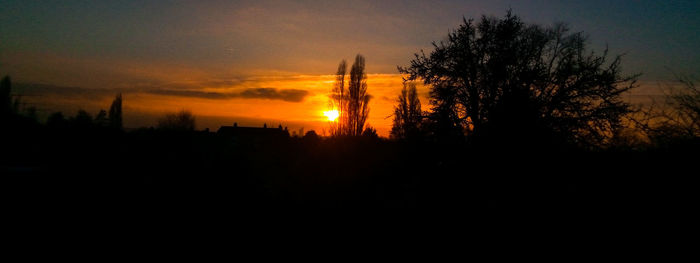 Silhouette trees against sky during sunset