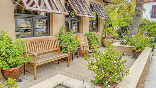 Potted plants on chair outside house