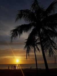 Silhouette palm trees on beach against sky during sunset