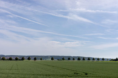 Scenic view of field against sky