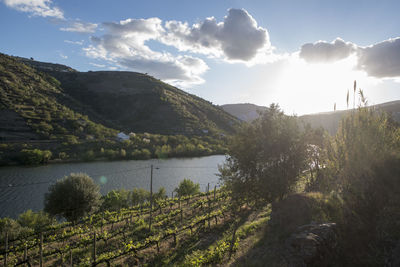 Scenic view of lake and mountains against sky