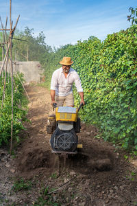 Middle aged gardener in casual wear and straw hat using motor cultivator while standing between colorful lush tomato shrubs under blue sky