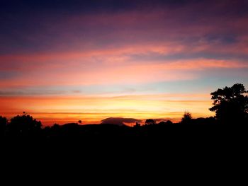 Silhouette trees on landscape against orange sky