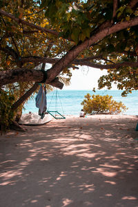 Scenic view of sea against trees