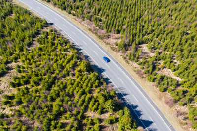 High angle view of highway amidst trees