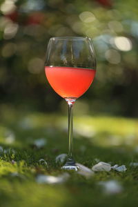 Close-up of beer glass