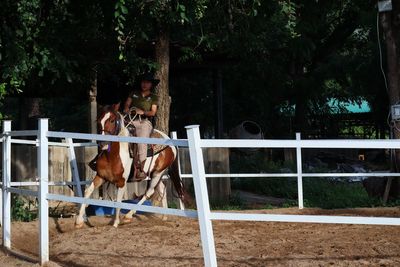 View of an animal against sky