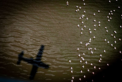 High angle view of water