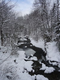 Scenic view of river against sky during winter