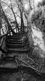Abandoned staircase in forest