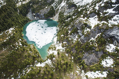 High angle view of trees by lake