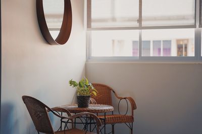 Potted plant on table at home