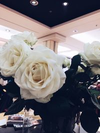 Close-up of rose bouquet