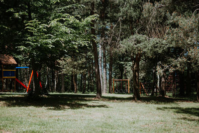 Trees growing on field in park