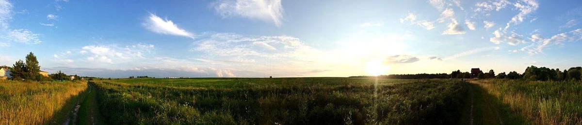 Scenic view of grassy field against sky