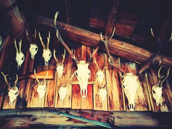 Low angle view of clothes hanging on wood