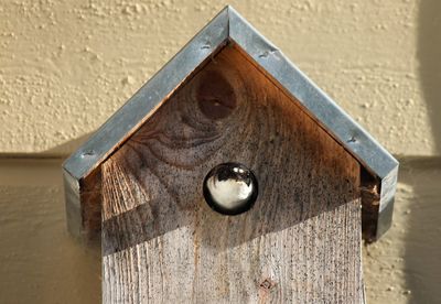 Close-up of bird nest 