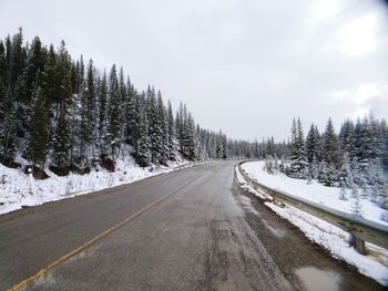 Road amidst trees against sky during winter