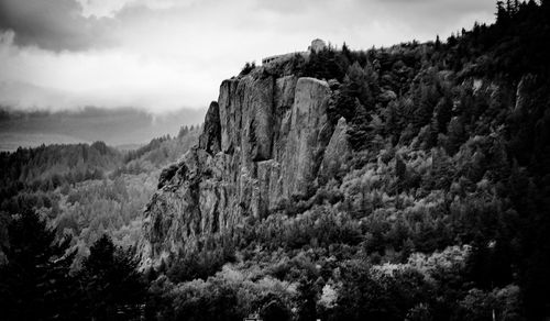 Rocky mountain amidst trees against sky