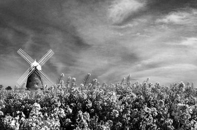 Low angle view of traditional windmill