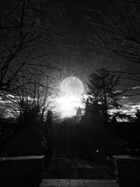 Low angle view of trees against sky