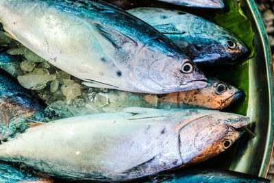 Full frame shot of fish for sale at market